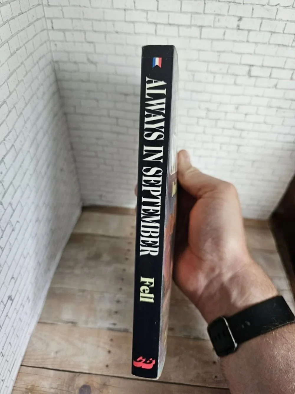 Always in September Doris Elaine Fell 1994 Crossway Romantic Christian Thriller